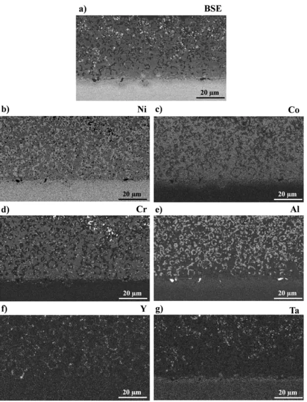 Fig. 3. Microstructure and element maps obtained via EDX analyses of the NiCoCrAlYTa Tribomet® coating: a) Cross-section observation of the coating in a backscattered electron mode.
