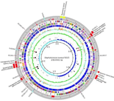 Figure 3: Séquençage du génome complet de la souche S. aureus résistant à la  méthicilline N315 (Kuroda et al., 2001)