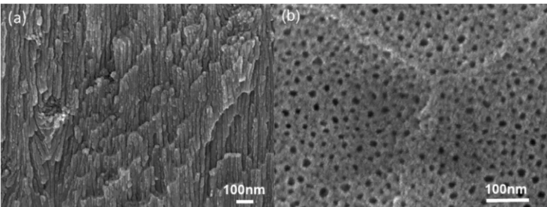 Figure 2. EDX analyses of anodic ﬁ lm (20 μ m thick) on AA 1050, after standard chemical colouring and sealing.