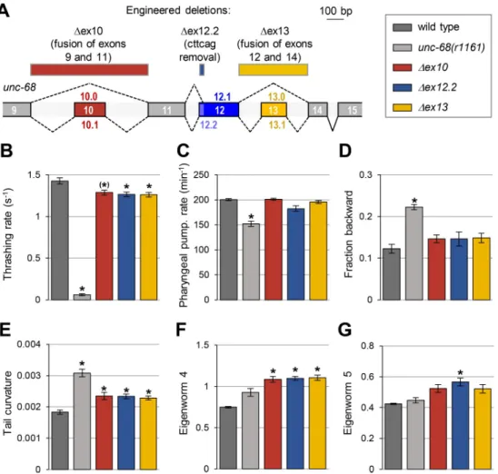 Fig 6. Alternative exons coding for the DR2 region of UNC-68 have specific roles. (A) Schematic of the DR2 coding region in the unc-68 genomic locus and location of the engineered deletions produced by CRISPR/Cas9-mediated genome editing (rectangles at the