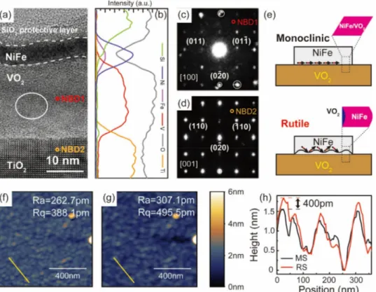 Figure 4. High-resolution transmission electron microscopy (HR-TEM) analysis of the NiFe/VO 2 heterostructure