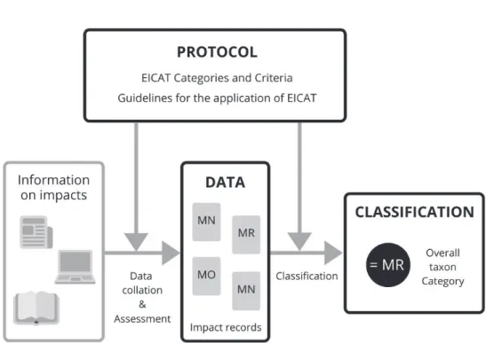 Figure 1. The three elements of EICAT (black boxes). Details on the terms can be found in Boxes 1  and 2