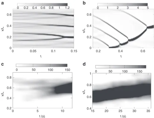 Fig. 3 Kymographs of bound myosin density from theory and experiment: a, b Kymograph of the spatial pro ﬁ le of bound myosin density from theory, shows nucleation and growth (0 &lt; t &lt; 0.15), followed by coalescence (0.15 &lt; t &lt; 0.7) and movement 