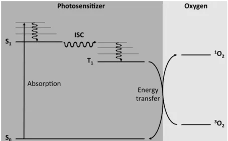 Fig. 1. Schematic diagram depicting the photosensitized excitation of oxygen in its ground  triplet state ( 3 O 2 ) to its lowest singlet excited state ( 1 O 2 )