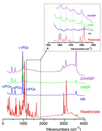 Fig. 4. Raman spectra of risedronate sodium salt, PEI, HAPEI and HAPEIBP after adsorption (with Qads equal to the maximum value of the adsorption isotherm).