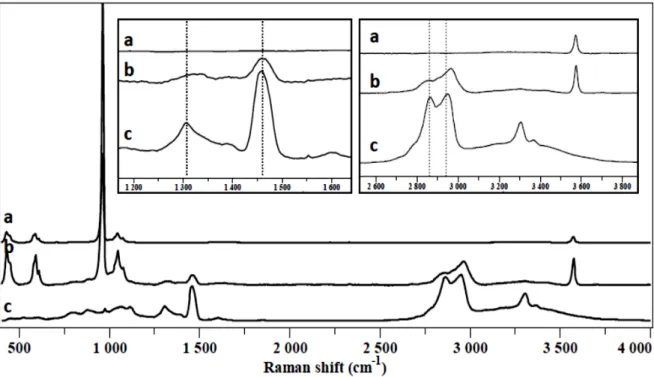 Figure S3 – Raman spectra of ZnHA (a), ZnHAPEI (b), PEI (c). The two insets focus on two  spectral domains (1150-1650 cm -1   and 2550-3850 cm -1 ) showing especially the main  characteristic vibration bands for CH and CH 2  groups in PEI molecule