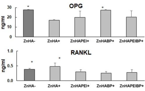Figure  S6  –  OPG and RANKL levels on supernatant of ZnHA+, ZnHAPEI+, ZnHABP+,  ZnHAPEIBP+ materials cultured with osteoblasts and osteoclasts in oxidative stress conditions and  reference (ZnHA-) after 7 days of incubation