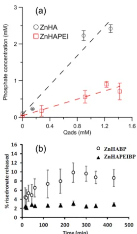 Figure 3. (a) Concentration of phosphate ions released in solution after BP adsorption as a function of the concentration of risedronate adsorbed on the powders, ZnHA and ZnHAPEI (1 mM KCl aqueous solution at pH 7.4 and 37 °C)