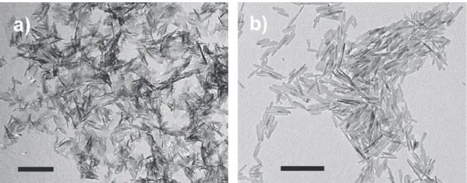 Fig. 5. TEM images of carbonate-hydroxyapatite crystals grown by the sitting-drop vapor diffusion (a) and by the batch precipitation from metastable Ca/citrate/phosphate solutions