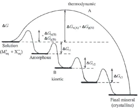 Fig. 6. Crystallization pathways under thermodynamic and kinetic control. Whether a system follows a one-step route to the ﬁ nal mineral phase (pathway A) or proceeds by sequential precipitation (pathway B), depends on the free energy of activation (DG) as