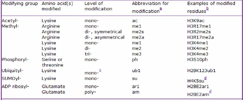 Figure 8: La nomenclature utilisée pour la dénomination des modifications post-traductionnelles des histones (D’après Turner, 2005)