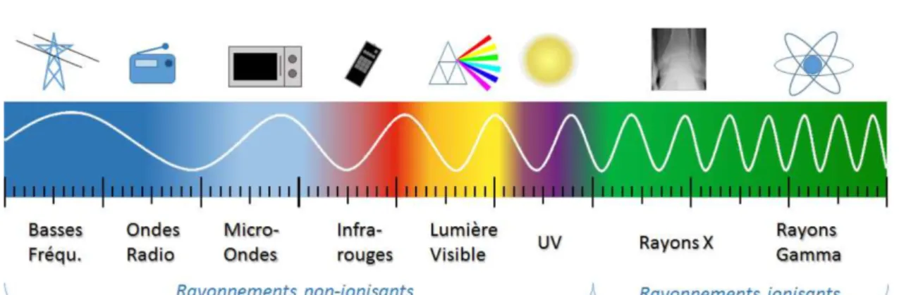 Figure 13 : Spectre des fréquences d'ondes 
