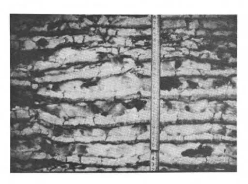 Figure  39.  Large  ice  l e n s e s   i n  varved  c l a y   i n   permafrost 