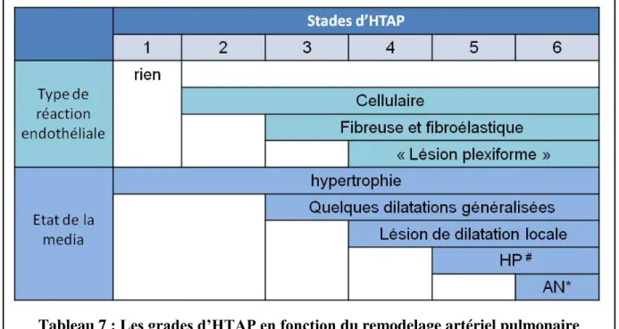 Tableau 7 : Les grades d’HTAP en fonction du remodelage artériel pulmonaire  D’après (83) 
