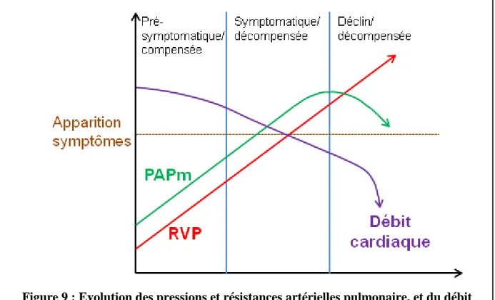 Figure 9 : Evolution des pressions et résistances artérielles pulmonaire, et du débit  cardiaque au cours de l’HTP 