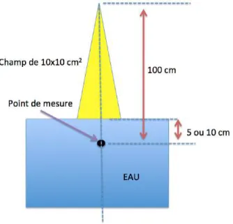 Figure  II-3 :  Conditions  de  références  recommandées  par  l’IAEA  pour  la  mesure  de  dose  absolue,  taille de champ 10x10 cm 2 , DSA 100 cm (protocole IAEA TRS 398)