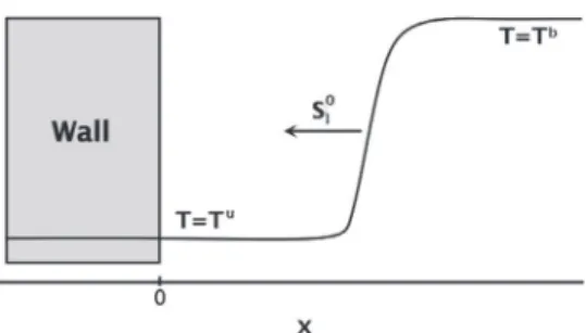 Fig. 1. Flame–wall interaction (FWI): head-on quenching (HOQ) configuration. Ini-  tial wall temperature  T  wi is  set equal  to fresh  gas  temperature T u 