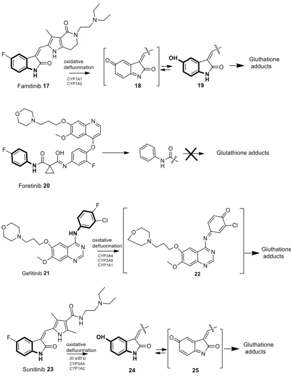 FIGURE 7: Proposed mechanisms of famitinib, gefitinib and sunitinib metabolic activation to p-quinone- p-quinone-imines upon aromatic oxidative defluorination