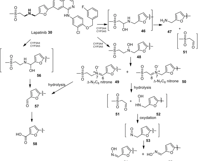 FIGURE  12:    Proposed  mechanisms  of  lapatinib  metabolic  activation  to  aldehyde  and  nitroso  derivatives