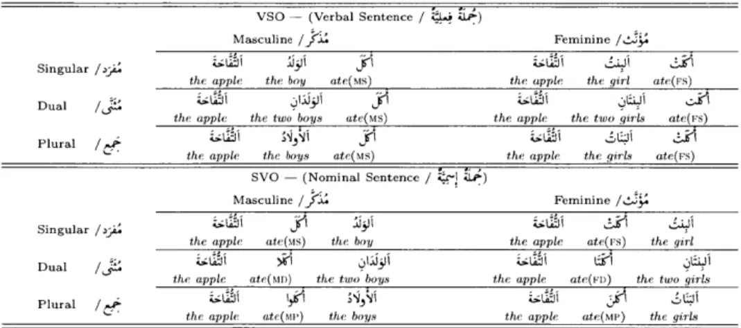 Table  1.2:  To  distinguish  between the  different  conjugated  forms in Arabic,  we append labels  to  the  English  verb  in  the  gloss;  M  and  F  denote  masculine  and  feminine, respectively,  and  S, D,  and  P  denote  singular,  dual,  and  pl