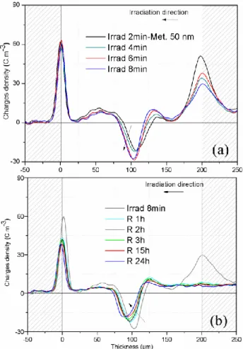 Fig.  5.  Space  charge  profiles  in  LDPE  film  of  200  µm  thickness metallized (50 nm Au) on its irradiated face, (a)  during  irradiation  with  a  80  keV  electron-beam  at  1  nA/cm 2 , and (b) during relaxation