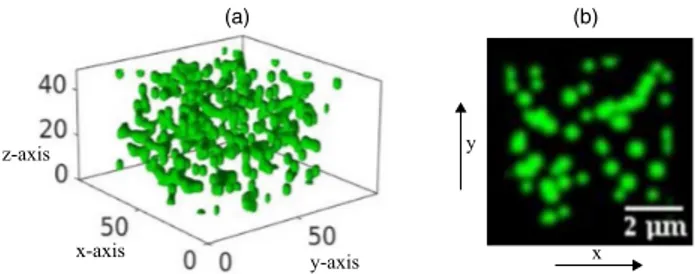 Fig. 1. Synthetic microscopy experiment. (a) The 3D sample is composed of randomly distributed microspheres discretized in a box of 100 voxels × 100 voxels × 50 voxels of size 64 nm