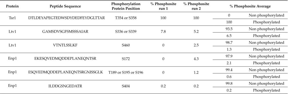 Table 1. Relative abundance of phosphorylation sites detected by bottom-up proteomics on Tsr1-FPZ pre-40S particles components.