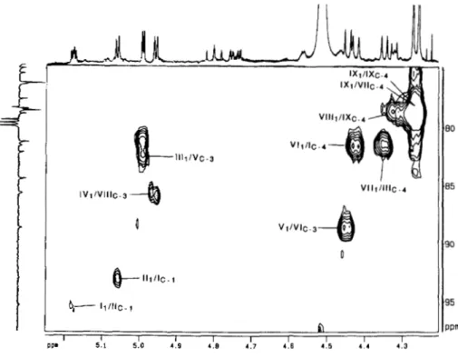 FIG.  9.  Expanded  zone  (6  4.20-  5.2516 75-98)  of  the 13C decoupled,  'H-detected  multiple  bond  correla-  tion  spectrum  ('H  [13C]  HMBC)  of  native  LOS-I11 (10 mg)  in  CDC13/ 