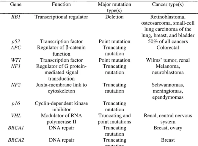 Table 2. Characteristics of selected human tumor suppressor genes Gene RBi p53 APe WTi NFl NF2 pi6 VHL BRCAl BRCA2 Function Transcriptional regulatorTranscription factorRegulator of~-cateninfunctionTranscription factorRegulator of G protein-mediated signal