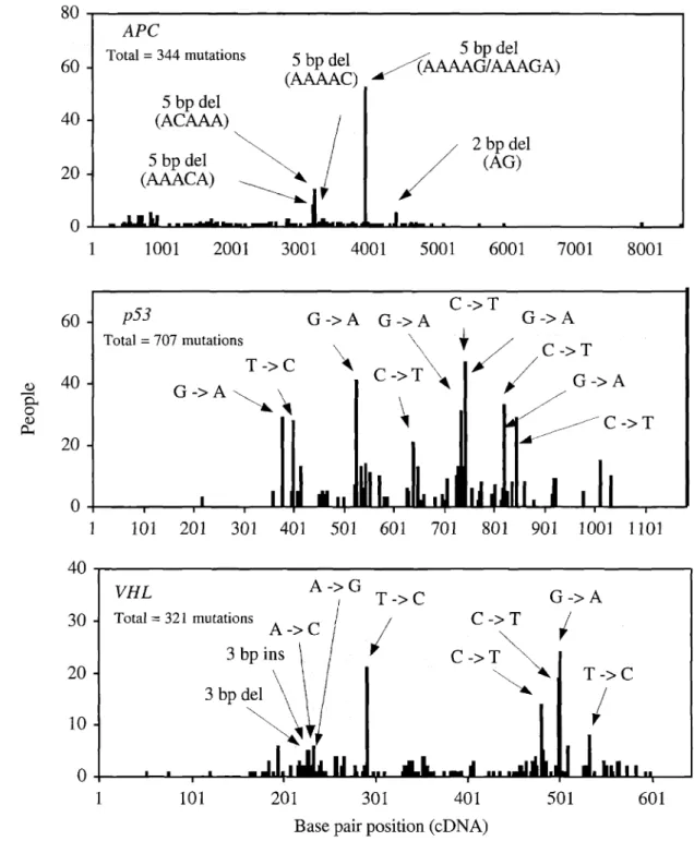 Figure 3. Distribution of germline point mutations in tumor suppressor genes in human cancer