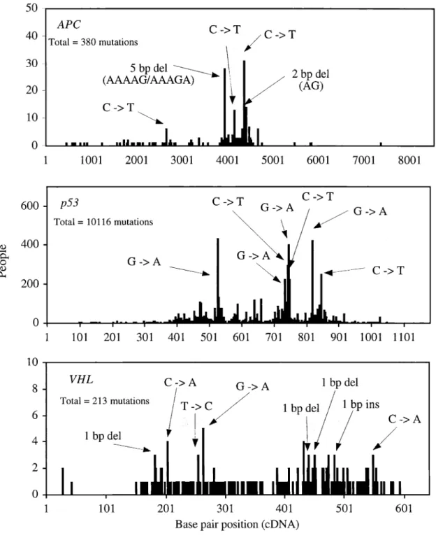 Figure 4. Distribution of somatic point mutations in tumor suppressor genes in human cancer