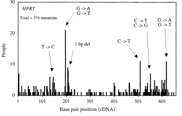 Figure 6. Distribution of somatic mutations in HPRT gene in T-Iymphocytes of healthy individuals