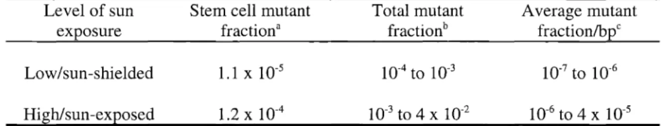 Table 6. Summary of p53 mutant fractions in skin tissues of healthy individuals Level of sun