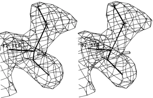 Fig. 2.  Electron density  map  (2F,,  -  Fmb,  @&amp;)  at 1.8  A  resolution  of  residue  Ser  82