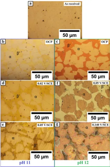 Figure 4. Optical microscope observations of the α , β  brass CuZn40Pb2 sam- sam-ple surface