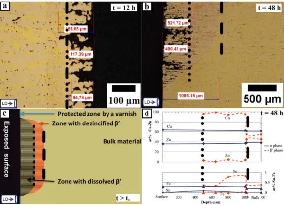 Figure 3. Analysis by optical microscope of a section of the α , β  -brass CuZn40Pb2 sample after (a) a 12 h and (b) a 48 h dissolution test in a 0.5 M NaNO 3
