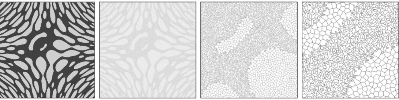 Figure 13: Spatially varying growth process with two different growth functions. Left: Input heterogeneous field, the darker regions correspond to the optimized ψ S in Figure 10, while the rest correspond to growth according to the Euclidean disk.