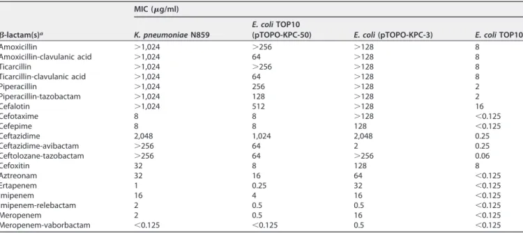 TABLE 1 MICs of ␤ -lactams for K. pneumoniae clinical isolate N859, E. coli TOP10 recombinant strains producing KPC-50 and KPC-3, and E