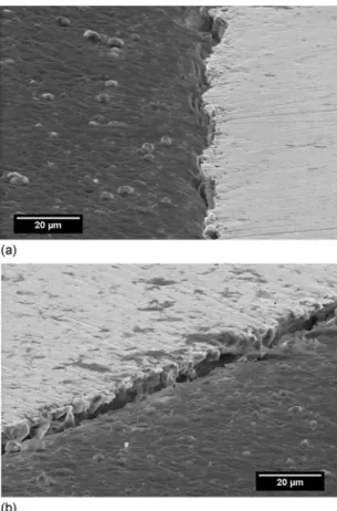 Figure 7. SEM observations of the Al/Cu interface of the disk electrode after 24 h of immersion in a 10 −3 M Na 2 SO 4 solution: 共 a 兲 and 共 b 兲 show two different views of the crevice.