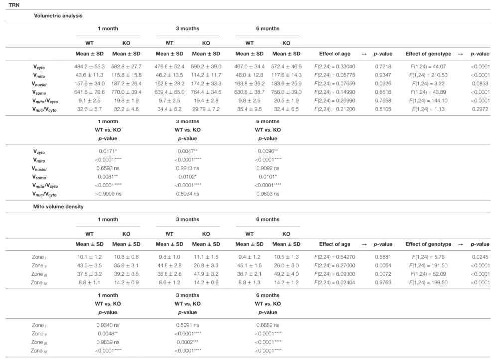 TABLE 2 | Quantitative results and statistical analyses of volumetric analysis and mitochondria position in four zones are shown as Mean ± SD in striatum and TRN.