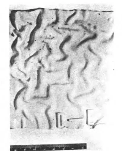 FIG.  8-Liquid-applied  modified  polyurethane  membrane  after  110  days' exposure  in  the  Aminco  Climate Lab