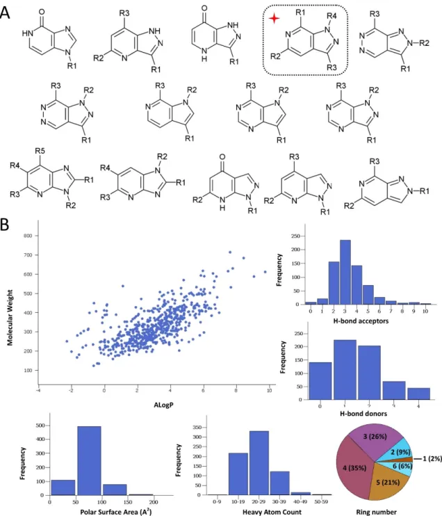 Figure 1. (A) The various substituted heteroaromatic scaffolds comprising the screened collection and  the pyrazolo[3,4-c]pyridine core identified as a potent cystathionine β-synthase (CBS) inhibitor (inset  denoted by a red cross)