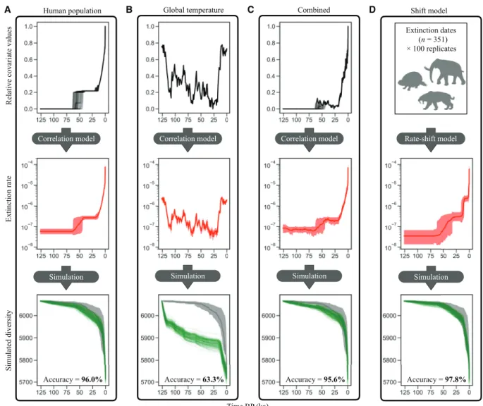 Fig. 2. Higher model adequacy for human correlation model compared to climate model. The displayed models can be grouped into correlation models (A to C) in  which extinction rates are estimated as a function of time continuous predictors and a rate-shift 