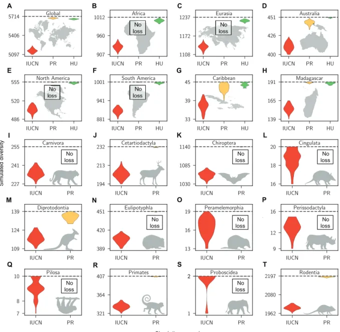 Fig. 3. Substantial species losses predicted by year 2100 CE. The subplots show the estimates of mammalian species diversity globally (A) and for all spatial (B to H) and  taxonomic subsets (I to T) analyzed in this study