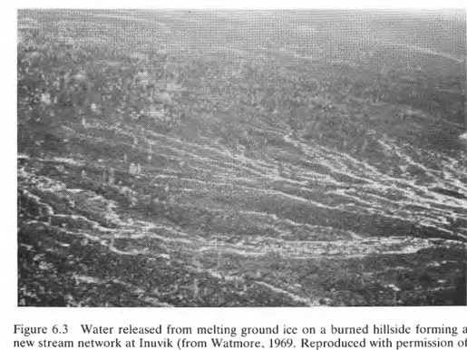 Figure  6.3  Water released  from  melting  ground  ice on  a  burned  hillside forming a  new stream network at Inuvik (from Watmore,  1969