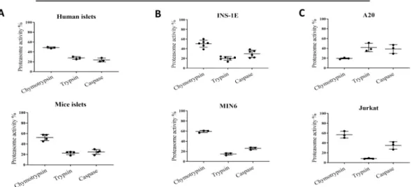 Fig 3. Total and proteolytic-specific enzymatic activities of proteasomes. (A) Proteasome activity in human (n = 3) and mouse islets (n = 4), (B) beta cell lines: INS-1E (n = 6) and MIN6 (n = 3) and (C) immune cells: A20 and Jurkat (n = 3)