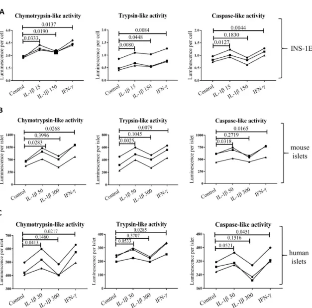 Fig 5. Basal and cytokine induced activity of proteasome subunits in (A) INS-1E, (B) mouse and (C) human islets (all n = 3)