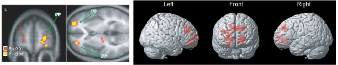 Figure 1.3 – Activations des mêmes régions du cortex préfrontal antérieur pour l’exploration (à gauche, issu de Daw et al, 2006 [60]), et l’incertitude (à droite, issu de Yoshida et Ishii, 2006 [216]).