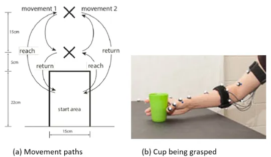 Figure 1. Schematic representation of the task (a) and a picture of the cup being grasped, along with the markers and band being used (b)