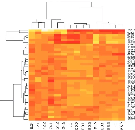 Figure 3. Heatmap showing hierarchical clustering of 38 best predictor genes (hori- (hori-zontally) and microarrays (vertically) corresponding to timepoints 0 (n = 4), 6 (n = 4), 12 (n = 3), and 24 (n = 4) h relative to E